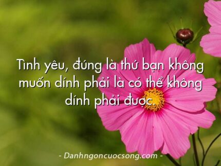 Tình yêu, đúng là thứ bạn không muốn dính phải là có thể không dính phải được.