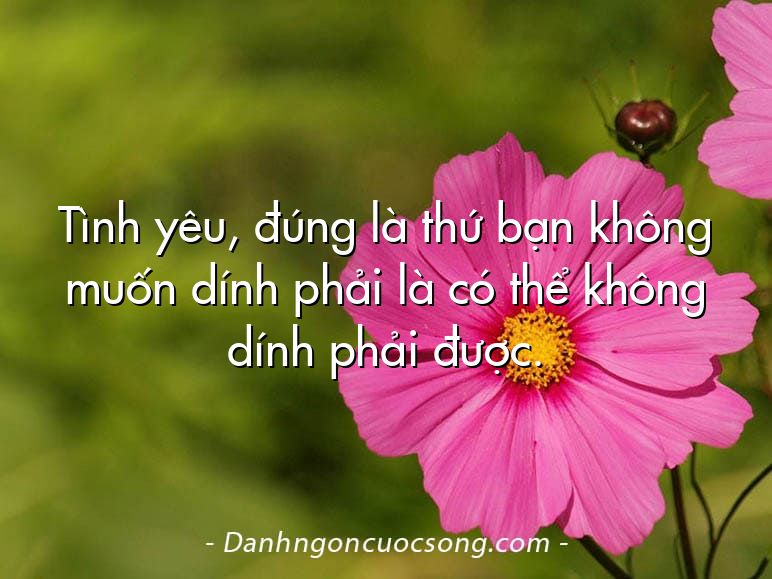 Tình yêu, đúng là thứ bạn không muốn dính phải là có thể không dính phải được.