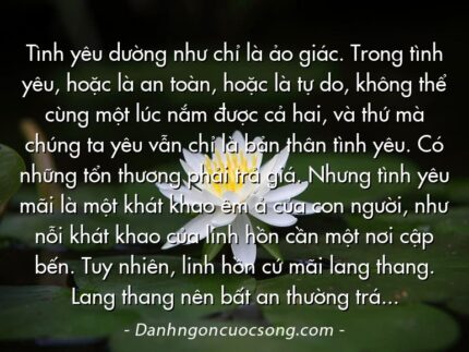 Tình yêu dường như chỉ là ảo giác. Trong tình yêu, hoặc là an toàn, hoặc là tự do, không thể cùng một lúc nắm được cả hai, và thứ mà chúng ta yêu vẫn chỉ là bản thân tình yêu. Có những tổn thương phải trả giá. Nhưng tình yêu mãi là một khát khao êm ả của con người, như nỗi khát khao của linh hồn cần một nơi cập bến. Tuy nhiên, linh hồn cứ mãi lang thang. Lang thang nên bất an thường trực. Tìm sự tĩnh tại thật dễ dàng mà cũng rất không.