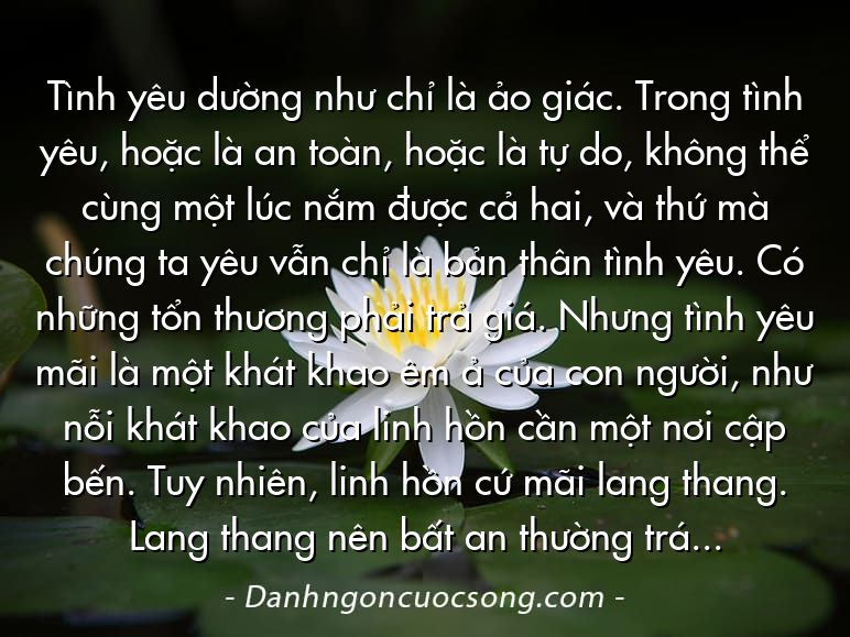 Tình yêu dường như chỉ là ảo giác. Trong tình yêu, hoặc là an toàn, hoặc là tự do, không thể cùng một lúc nắm được cả hai, và thứ mà chúng ta yêu vẫn chỉ là bản thân tình yêu. Có những tổn thương phải trả giá. Nhưng tình yêu mãi là một khát khao êm ả của con người, như nỗi khát khao của linh hồn cần một nơi cập bến. Tuy nhiên, linh hồn cứ mãi lang thang. Lang thang nên bất an thường trực. Tìm sự tĩnh tại thật dễ dàng mà cũng rất không.