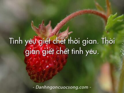 Tình yêu giết chết thời gian. Thời gian giết chết tình yêu.