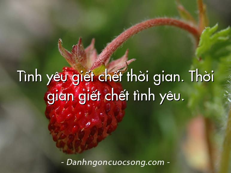 Tình yêu giết chết thời gian. Thời gian giết chết tình yêu.