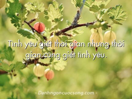 Tình yêu giết thời gian nhưng thời gian cũng giết tình yêu.