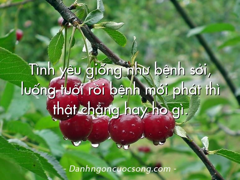 Tình yêu giống như bệnh sởi, luống tuổi rồi bệnh mới phát thì thật chẳng hay ho gì.