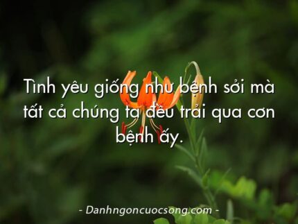 Tình yêu giống như bệnh sởi mà tất cả chúng ta đều trải qua cơn bệnh ấy.