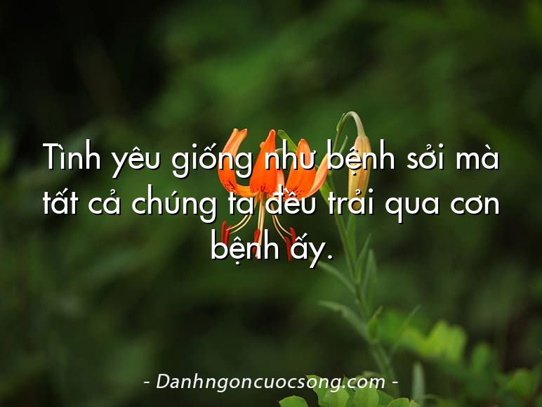 Tình yêu giống như bệnh sởi mà tất cả chúng ta đều trải qua cơn bệnh ấy.