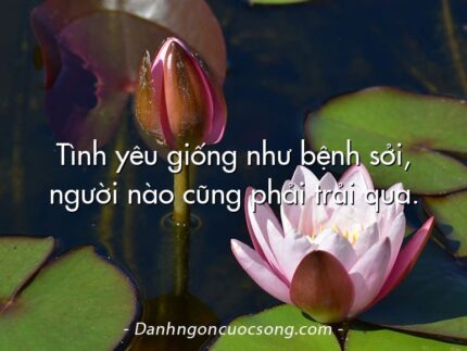 Tình yêu giống như bệnh sởi, người nào cũng phải trải qua.