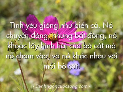 Tình yêu giống như biển cả. Nó chuyển động, nhưng bất động, nó khoác lấy hình hài của bờ cát mà nó chạm vào, và nó khác nhau với mỗi bờ cát.