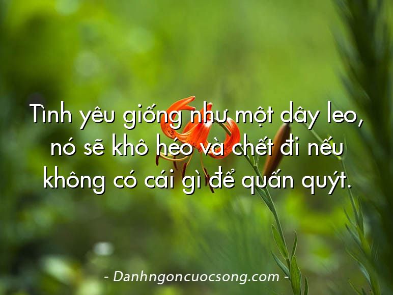Tình yêu giống như một dây leo, nó sẽ khô héo và chết đi nếu không có cái gì để quấn quýt.