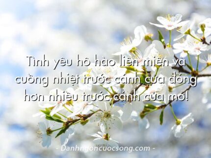 Tình yêu hô hào liên miên và cuồng nhiệt trước cánh cửa đóng hơn nhiều trước cánh cửa mở!