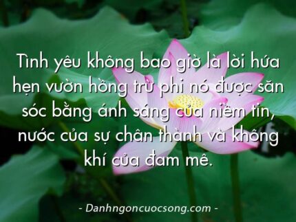Tình yêu không bao giờ là lời hứa hẹn vườn hồng trừ phi nó được săn sóc bằng ánh sáng của niềm tin, nước của sự chân thành và không khí của đam mê.
