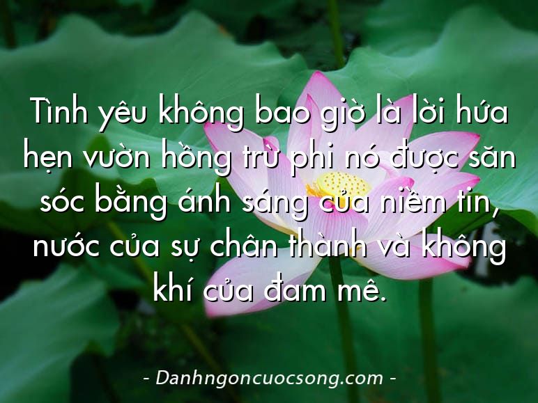 Tình yêu không bao giờ là lời hứa hẹn vườn hồng trừ phi nó được săn sóc bằng ánh sáng của niềm tin, nước của sự chân thành và không khí của đam mê.