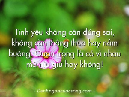 Tình yêu không cần đúng sai, không cần thắng thua hay nắm buông. Quan trọng là có vì nhau mà níu giữ hay không!