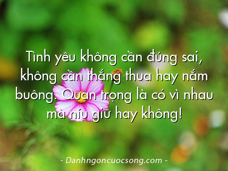 Tình yêu không cần đúng sai, không cần thắng thua hay nắm buông. Quan trọng là có vì nhau mà níu giữ hay không!