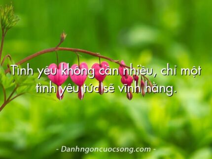 Tình yêu không cần nhiều, chỉ một tình yêu tức sẽ vĩnh hằng.  
