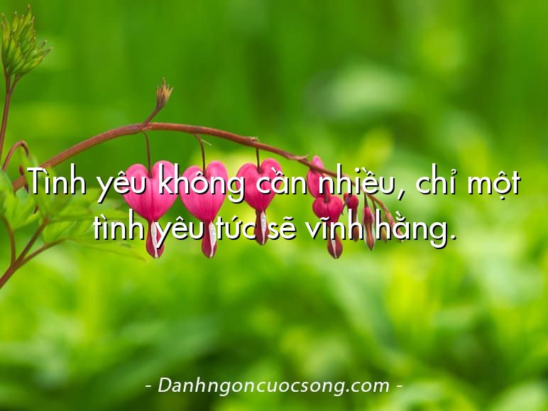 Tình yêu không cần nhiều, chỉ một tình yêu tức sẽ vĩnh hằng.  