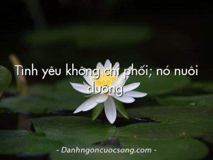 Tình yêu không chi phối; nó nuôi dưỡng.
