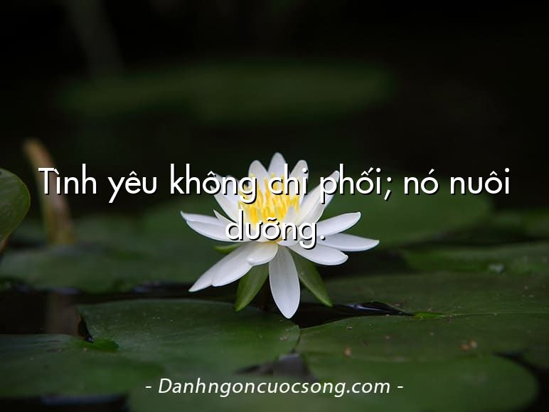 Tình yêu không chi phối; nó nuôi dưỡng.
