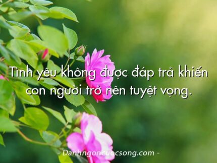 Tình yêu không được đáp trả khiến con người trở nên tuyệt vọng.