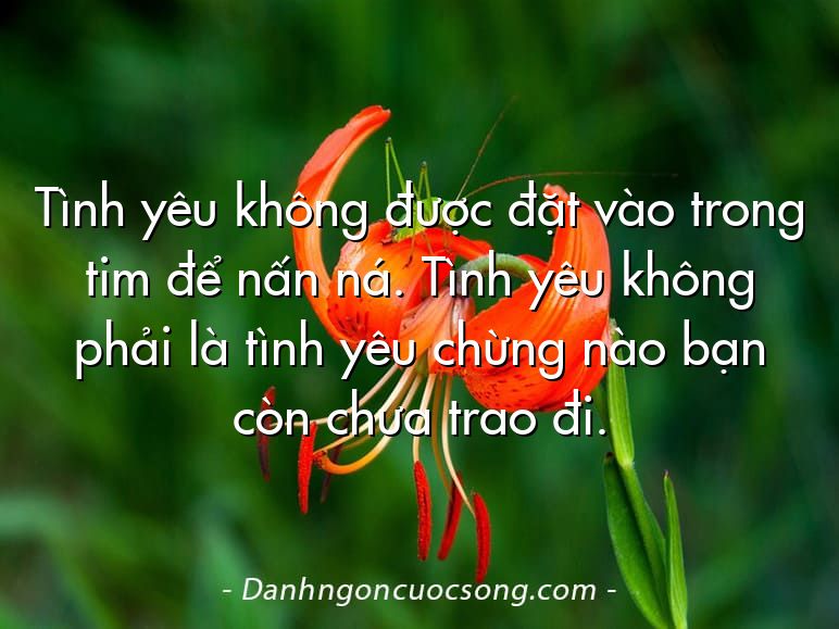 Tình yêu không được đặt vào trong tim để nấn ná. Tình yêu không phải là tình yêu chừng nào bạn còn chưa trao đi.