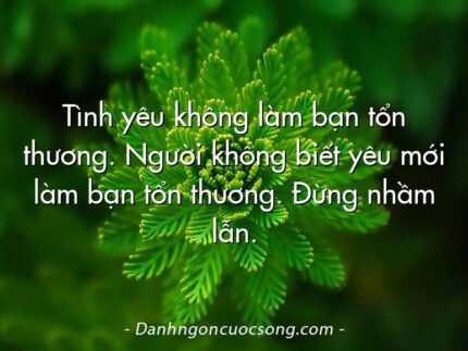 Tình yêu không làm bạn tổn thương. Người không biết yêu mới làm bạn tổn thương. Đừng nhầm lẫn.