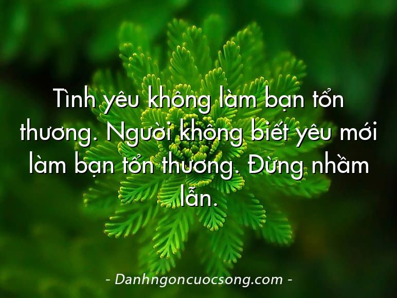Tình yêu không làm bạn tổn thương. Người không biết yêu mới làm bạn tổn thương. Đừng nhầm lẫn.