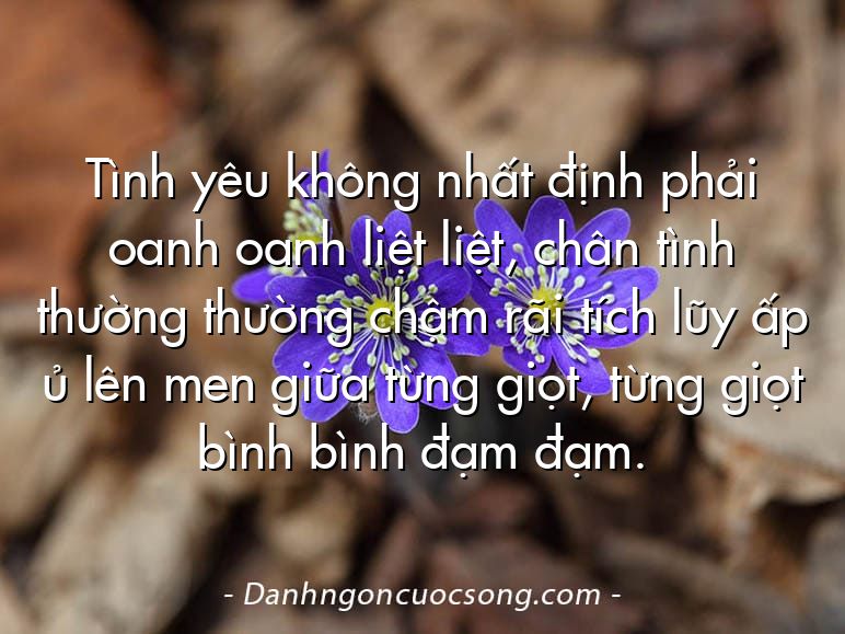 Tình yêu không nhất định phải oanh oanh liệt liệt, chân tình thường thường chậm rãi tích lũy ấp ủ lên men giữa từng giọt, từng giọt bình bình đạm đạm.