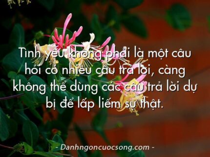 Tình yêu không phải là một câu hỏi có nhiều câu trả lời, càng không thể dùng các câu trả lời dự bị để lấp liếm sự thật.