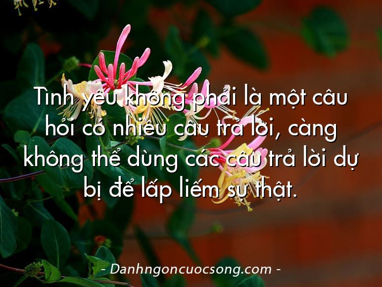 Tình yêu không phải là một câu hỏi có nhiều câu trả lời, càng không thể dùng các câu trả lời dự bị để lấp liếm sự thật.
