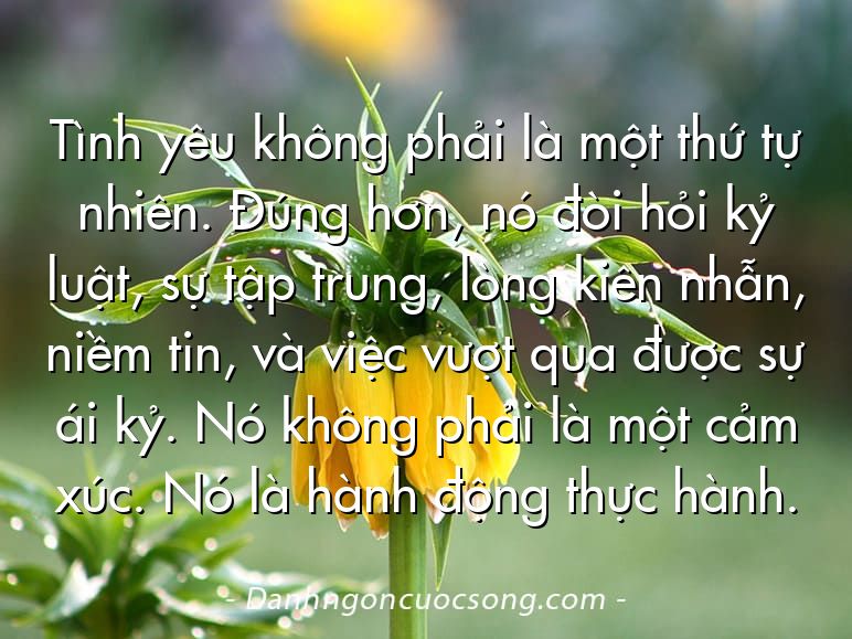 Tình yêu không phải là một thứ tự nhiên. Đúng hơn, nó đòi hỏi kỷ luật, sự tập trung, lòng kiên nhẫn, niềm tin, và việc vượt qua được sự ái kỷ. Nó không phải là một cảm xúc. Nó là hành động thực hành.
