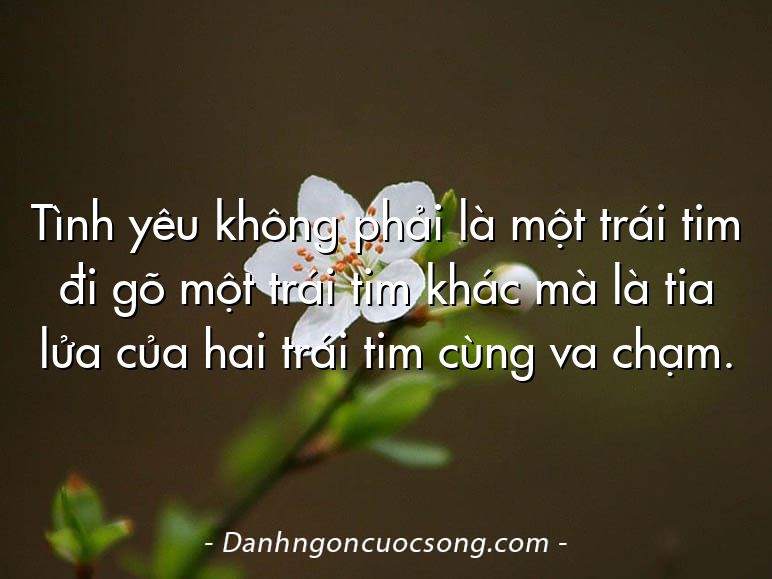 Tình yêu không phải là một trái tim đi gõ một trái tim khác mà là tia lửa của hai trái tim cùng va chạm.