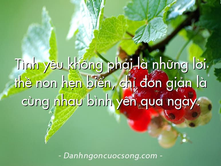 Tình yêu không phải là những lời thề non hẹn biển, chỉ đơn giản là cùng nhau bình yên qua ngày.