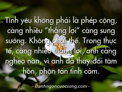 Tình yêu không phải là phép cộng, càng nhiều ”thắng lợi” càng sung sướng. Không phải thế. Trong thực tế, càng nhiều thắng lợi, anh càng nghèo nàn, vì anh đã thay đổi tâm hồn, phân tán tình cảm.