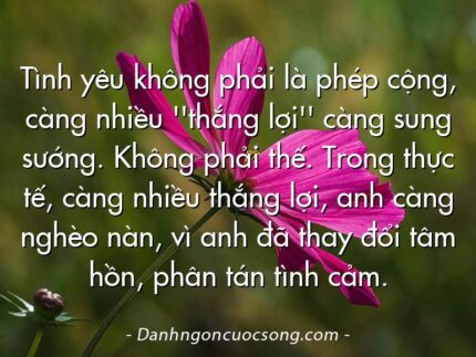 Tình yêu không phải là phép cộng, càng nhiều ''thắng lợi'' càng sung sướng. Không phải thế. Trong thực tế, càng nhiều thắng lợi, anh càng nghèo nàn, vì anh đã thay đổi tâm hồn, phân tán tình cảm.