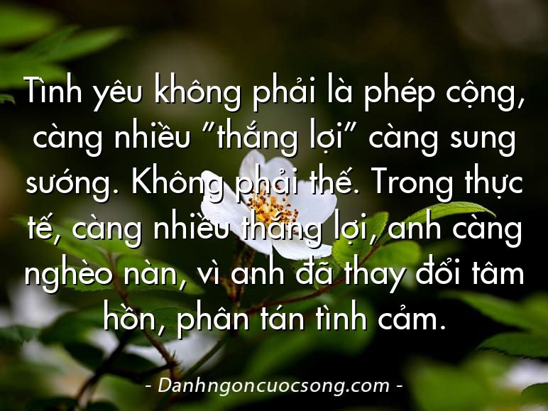 Tình yêu không phải là phép cộng, càng nhiều ”thắng lợi” càng sung sướng. Không phải thế. Trong thực tế, càng nhiều thắng lợi, anh càng nghèo nàn, vì anh đã thay đổi tâm hồn, phân tán tình cảm.