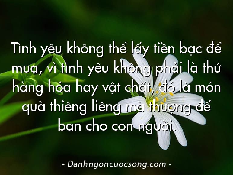 Tình yêu không thể lấy tiền bạc để mua, vì tình yêu không phải là thứ hàng hóa hay vật chất, đó là món quà thiêng liêng mà thượng đế ban cho con người.