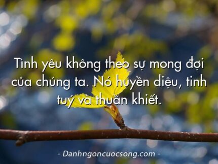 Tình yêu không theo sự mong đợi của chúng ta. Nó huyền diệu, tinh tuý và thuần khiết.