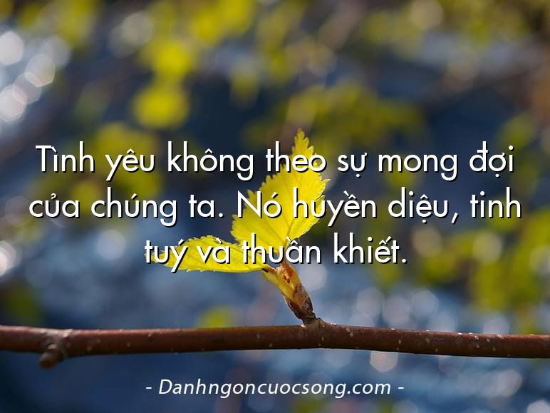 Tình yêu không theo sự mong đợi của chúng ta. Nó huyền diệu, tinh tuý và thuần khiết.