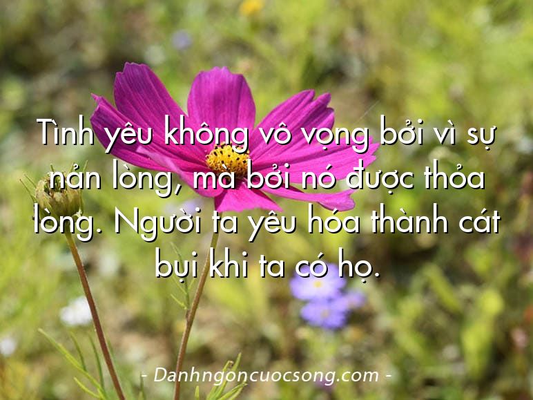 Tình yêu không vô vọng bởi vì sự nản lòng, mà bởi nó được thỏa lòng. Người ta yêu hóa thành cát bụi khi ta có họ.