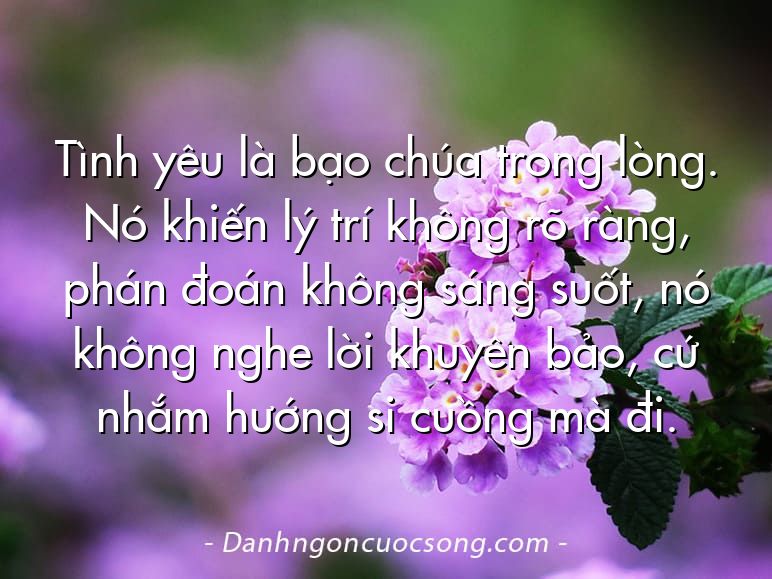 Tình yêu là bạo chúa trong lòng. Nó khiến lý trí không rõ ràng, phán đoán không sáng suốt, nó không nghe lời khuyên bảo, cứ nhắm hướng si cuồng mà đi.