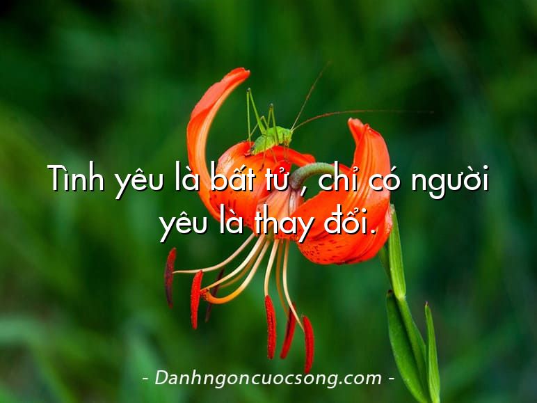 Tình yêu là bất tử , chỉ có người yêu là thay đổi.