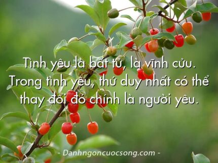 Tình yêu là bất tử, là vĩnh cửu. Trong tình yêu, thứ duy nhất có thể thay đổi đó chính là người yêu.