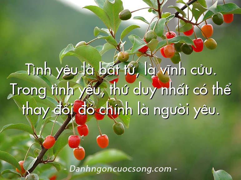 Tình yêu là bất tử, là vĩnh cửu. Trong tình yêu, thứ duy nhất có thể thay đổi đó chính là người yêu.