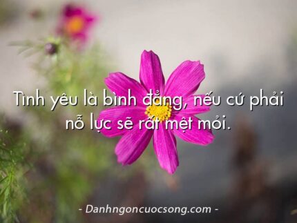 Tình yêu là bình đẳng, nếu cứ phải nỗ lực sẽ rất mệt mỏi.