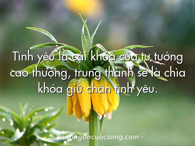 Tình yêu là cái khóa của tư tưởng cao thượng, trung thành sẽ là chìa khóa giữ chân tình yêu.