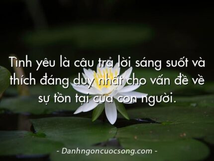 Tình yêu là câu trả lời sáng suốt và thích đáng duy nhất cho vấn đề về sự tồn tại của con người.