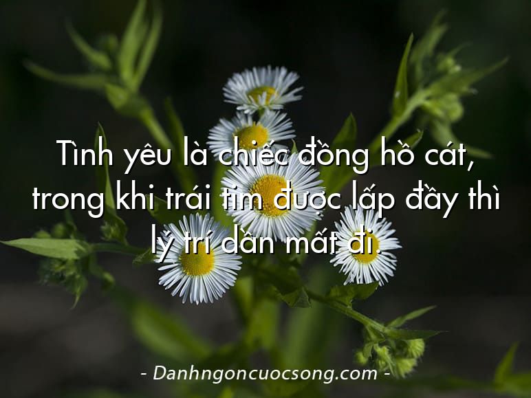 Tình yêu là chiếc đồng hồ cát, trong khi trái tim được lấp đầy thì lý trí dần mất đi.