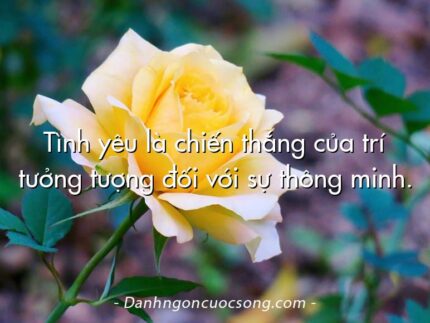 Tình yêu là chiến thắng của trí tưởng tượng đối với sự thông minh.