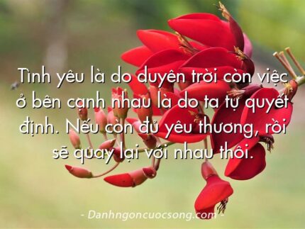 Tình yêu là do duyên trời còn việc ở bên cạnh nhau là do ta tự quyết định. Nếu còn đủ yêu thương, rồi sẽ quay lại với nhau thôi.