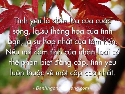 Tình yêu là đốm lửa của cuộc sống, là sự thăng hoa của tình bạn, là sự hợp nhất của tâm hồn. Nếu nói cảm tình của nhân loại có thể phân biệt đẳng cấp, tình yêu luôn thuộc về một cấp cao nhất.